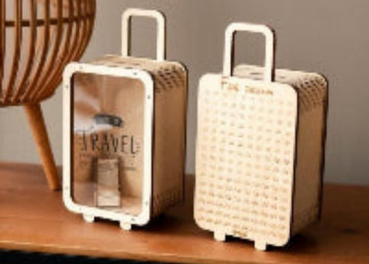 Travel Money Saving Bag